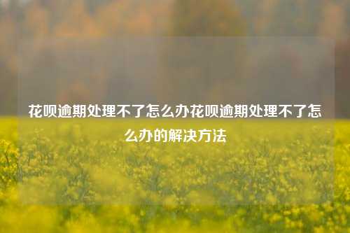 花呗逾期处理不了怎么办花呗逾期处理不了怎么办的解决方法