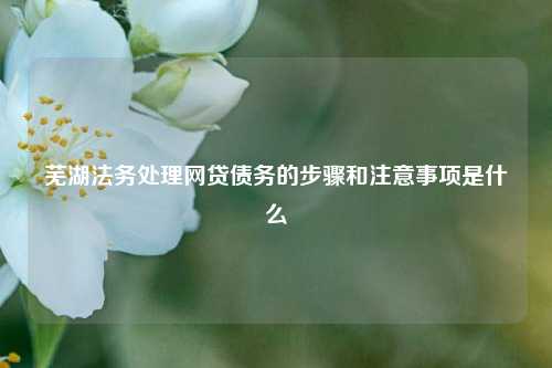 芜湖法务处理网贷债务的步骤和注意事项是什么