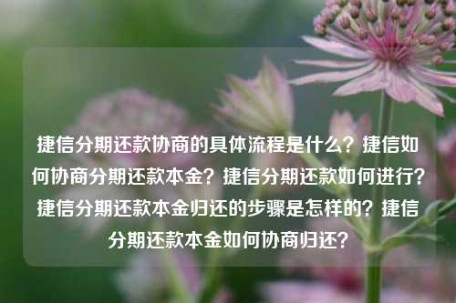 捷信分期还款协商的具体流程是什么？捷信如何协商分期还款本金？捷信分期还款如何进行？捷信分期还款本金归还的步骤是怎样的？捷信分期还款本金如何协商归还？