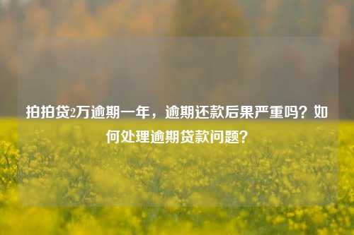 拍拍贷2万逾期一年，逾期还款后果严重吗？如何处理逾期贷款问题？