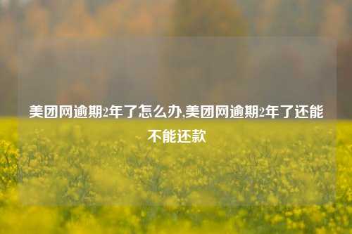 美团网逾期2年了怎么办,美团网逾期2年了还能不能还款