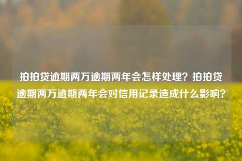 拍拍贷逾期两万逾期两年会怎样处理？拍拍贷逾期两万逾期两年会对信用记录造成什么影响？