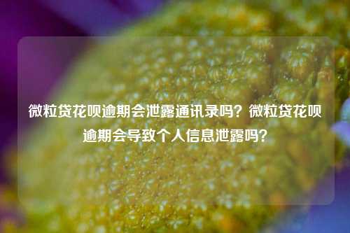 微粒贷花呗逾期会泄露通讯录吗？微粒贷花呗逾期会导致个人信息泄露吗？