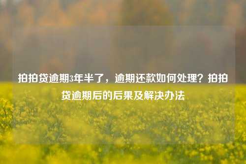 拍拍贷逾期3年半了，逾期还款如何处理？拍拍贷逾期后的后果及解决办法