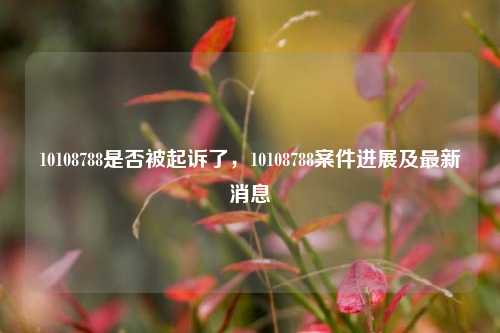 10108788是否被起诉了，10108788案件进展及最新消息