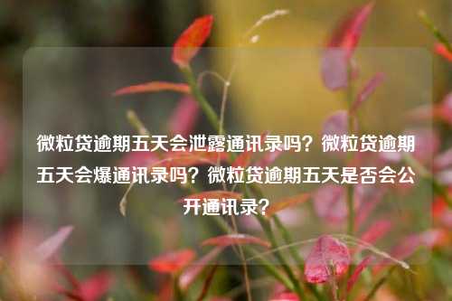 微粒贷逾期五天会泄露通讯录吗？微粒贷逾期五天会爆通讯录吗？微粒贷逾期五天是否会公开通讯录？