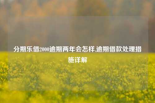 分期乐借2000逾期两年会怎样,逾期借款处理措施详解