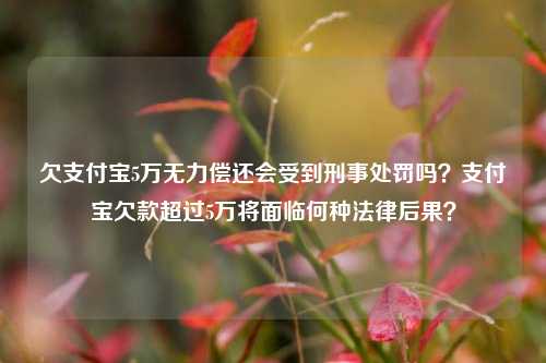 欠支付宝5万无力偿还会受到刑事处罚吗？支付宝欠款超过5万将面临何种法律后果？