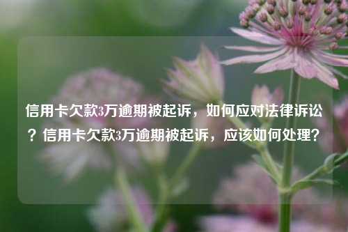 信用卡欠款3万逾期被起诉，如何应对法律诉讼？信用卡欠款3万逾期被起诉，应该如何处理？