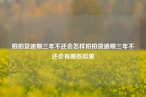 拍拍贷逾期三年不还会怎样拍拍贷逾期三年不还会有哪些后果