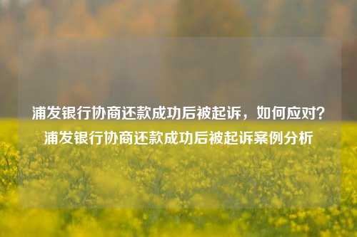 浦发银行协商还款成功后被起诉，如何应对？浦发银行协商还款成功后被起诉案例分析