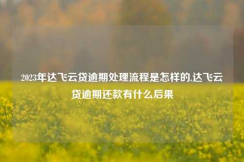 2023年达飞云贷逾期处理流程是怎样的,达飞云贷逾期还款有什么后果