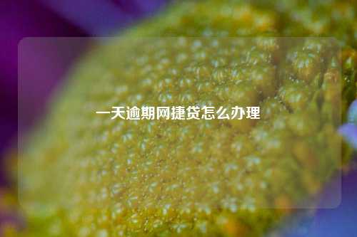 一天逾期网捷贷怎么办理