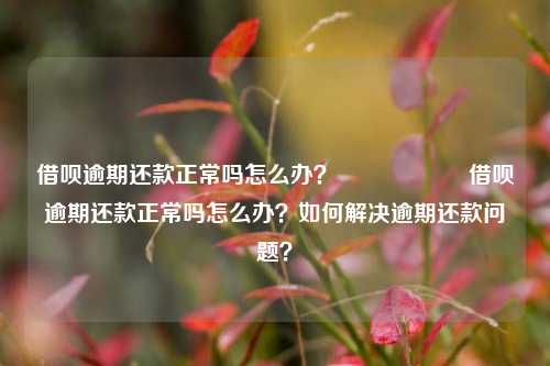 借呗逾期还款正常吗怎么办？                    借呗逾期还款正常吗怎么办？如何解决逾期还款问题？