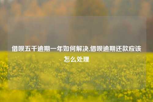 借呗五千逾期一年如何解决,借呗逾期还款应该怎么处理