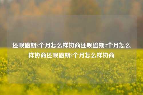 还呗逾期2个月怎么样协商还呗逾期2个月怎么样协商还呗逾期2个月怎么样协商