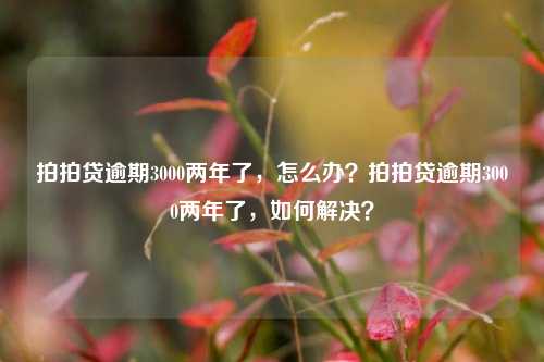 拍拍贷逾期3000两年了，怎么办？拍拍贷逾期3000两年了，如何解决？