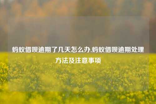 蚂蚁借呗逾期了几天怎么办,蚂蚁借呗逾期处理方法及注意事项