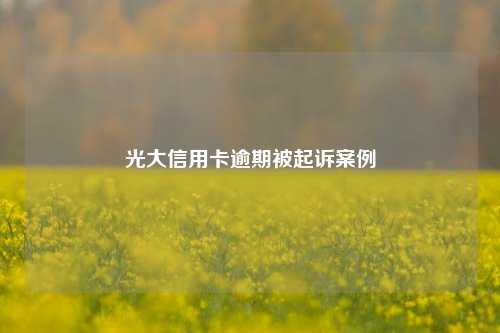 光大信用卡逾期被起诉案例