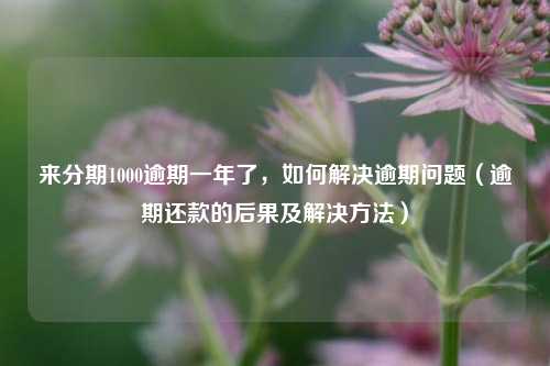 来分期1000逾期一年了，如何解决逾期问题（逾期还款的后果及解决方法）