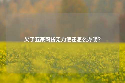 欠了五家网贷无力偿还怎么办呢？