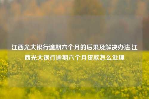 江西光大银行逾期六个月的后果及解决办法,江西光大银行逾期六个月贷款怎么处理