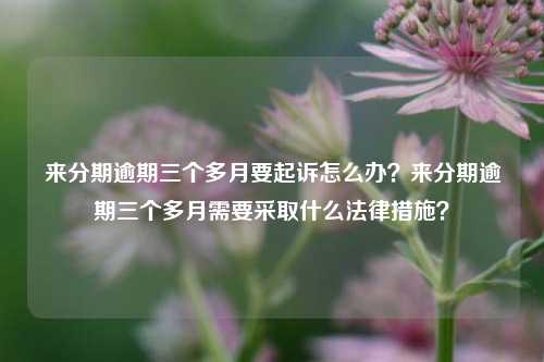 来分期逾期三个多月要起诉怎么办？来分期逾期三个多月需要采取什么法律措施？