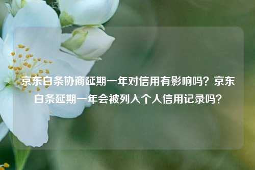 京东白条协商延期一年对信用有影响吗？京东白条延期一年会被列入个人信用记录吗？