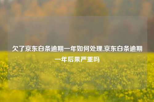 欠了京东白条逾期一年如何处理,京东白条逾期一年后果严重吗