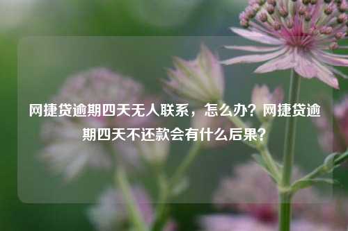 网捷贷逾期四天无人联系，怎么办？网捷贷逾期四天不还款会有什么后果？