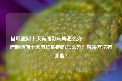 借呗逾期十天有啥影响吗怎么办                    借呗逾期十天有啥影响吗怎么办？解决方法有哪些？