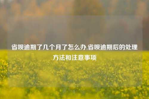 省呗逾期了几个月了怎么办,省呗逾期后的处理方法和注意事项