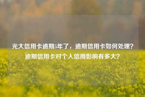 光大信用卡逾期5年了，逾期信用卡如何处理？逾期信用卡对个人信用影响有多大？