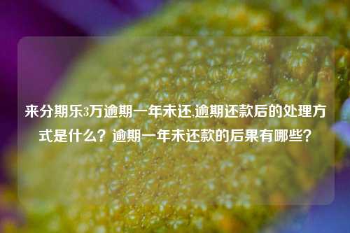 来分期乐3万逾期一年未还,逾期还款后的处理方式是什么？逾期一年未还款的后果有哪些？