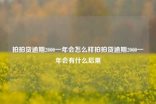 拍拍贷逾期2000一年会怎么样拍拍贷逾期2000一年会有什么后果