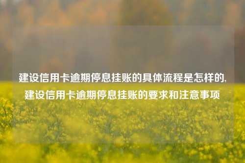 建设信用卡逾期停息挂账的具体流程是怎样的,建设信用卡逾期停息挂账的要求和注意事项