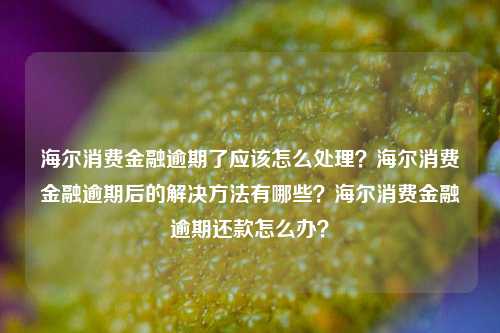 海尔消费金融逾期了应该怎么处理？海尔消费金融逾期后的解决方法有哪些？海尔消费金融逾期还款怎么办？