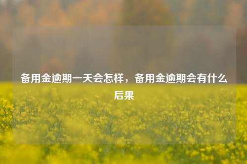 备用金逾期一天会怎样，备用金逾期会有什么后果