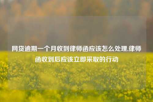 网贷逾期一个月收到律师函应该怎么处理,律师函收到后应该立即采取的行动