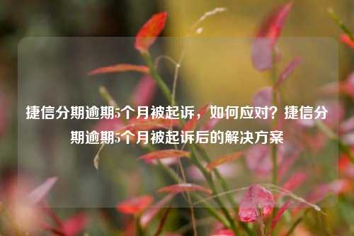 捷信分期逾期5个月被起诉，如何应对？捷信分期逾期5个月被起诉后的解决方案