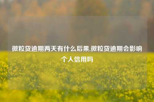 微粒贷逾期两天有什么后果,微粒贷逾期会影响个人信用吗