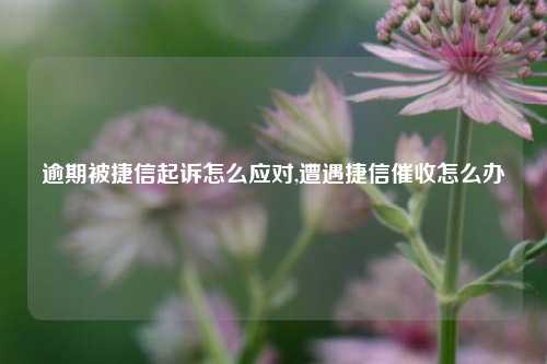 逾期被捷信起诉怎么应对,遭遇捷信催收怎么办