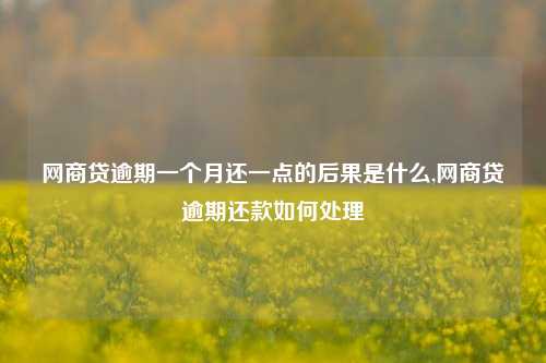 网商贷逾期一个月还一点的后果是什么,网商贷逾期还款如何处理