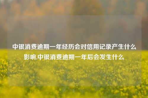 中银消费逾期一年经历会对信用记录产生什么影响,中银消费逾期一年后会发生什么