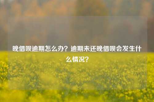 晚借呗逾期怎么办？逾期未还晚借呗会发生什么情况？