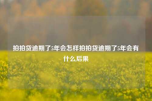 拍拍贷逾期了5年会怎样拍拍贷逾期了5年会有什么后果