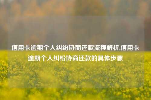 信用卡逾期个人纠纷协商还款流程解析,信用卡逾期个人纠纷协商还款的具体步骤