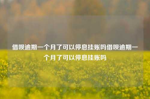 借呗逾期一个月了可以停息挂账吗借呗逾期一个月了可以停息挂账吗