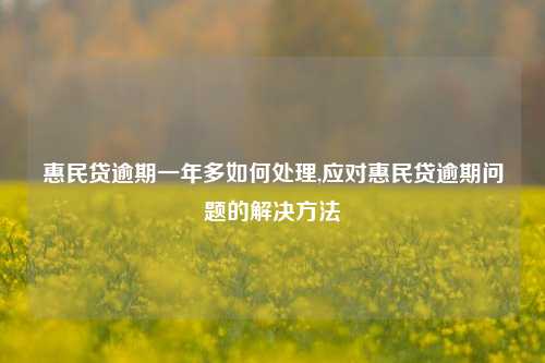 惠民贷逾期一年多如何处理,应对惠民贷逾期问题的解决方法