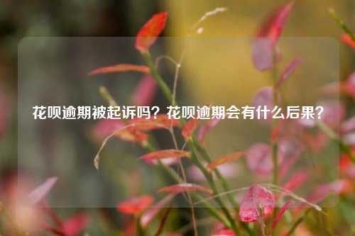 花呗逾期被起诉吗？花呗逾期会有什么后果？